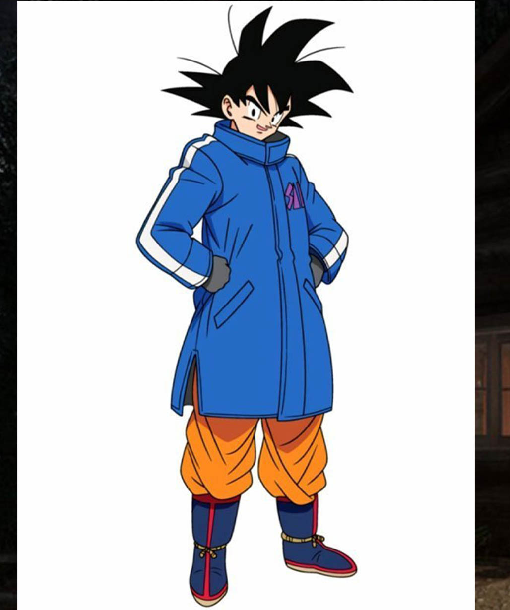 Dragon Ball Super Vegeta SAB Coat - USA Leather Factory