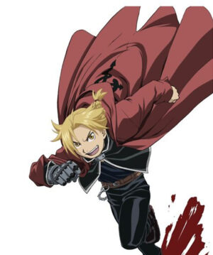 Fullmetal Alchemist Edward Elric Costume