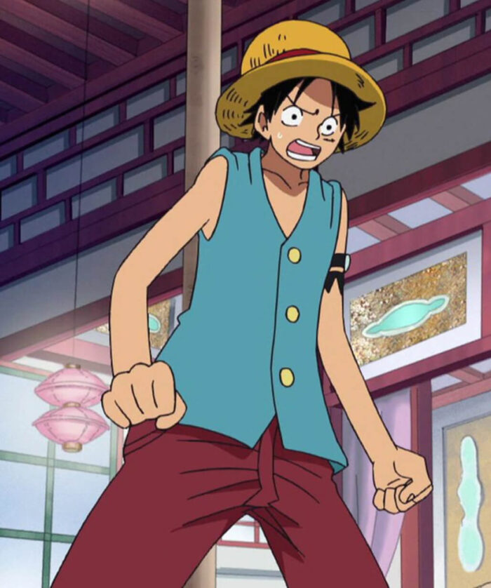 Monkey D. Luffy Blue Vest