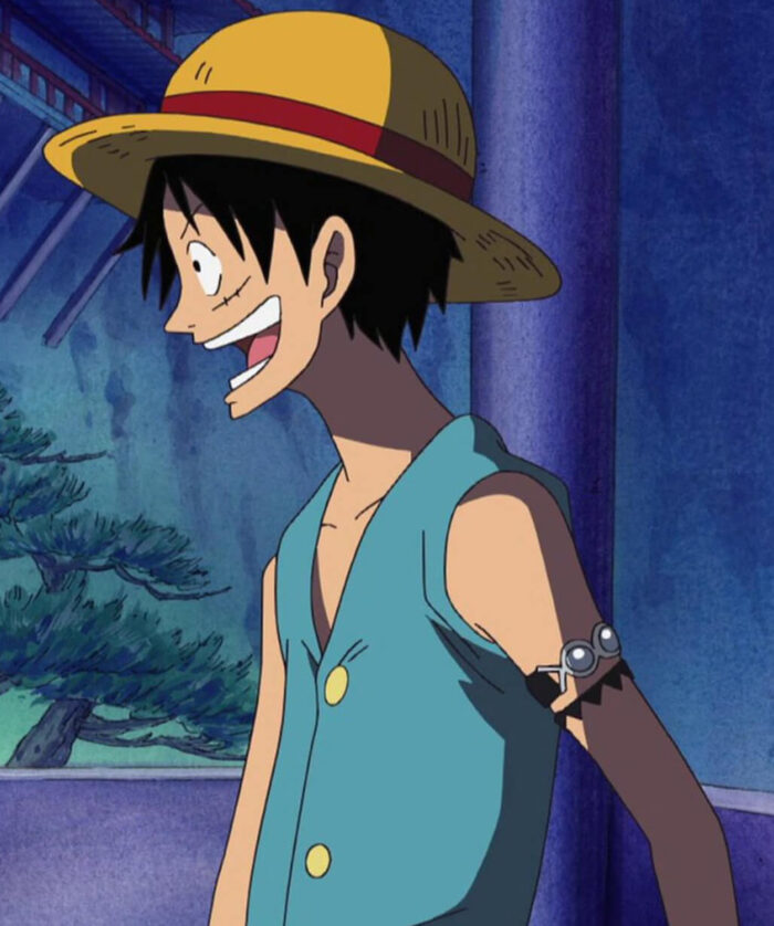 Monkey D. Luffy Blue Vest