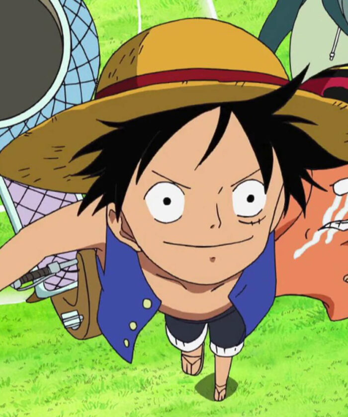 Monkey D. Luffy Blue Vest