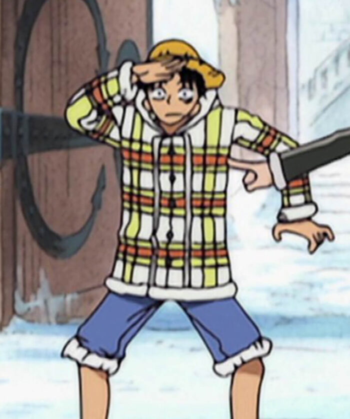 Monkey D. Luffy Checkered Jacket