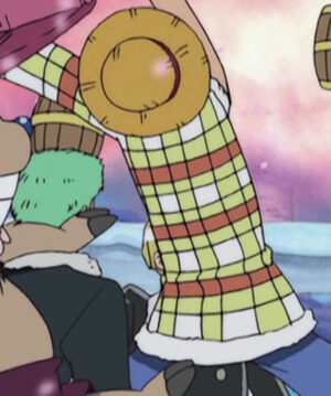 Monkey D. Luffy Checkered Jacket