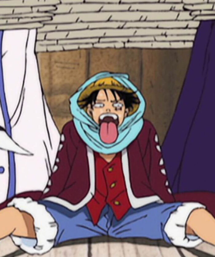 Monkey D. Luffy Purple Coat