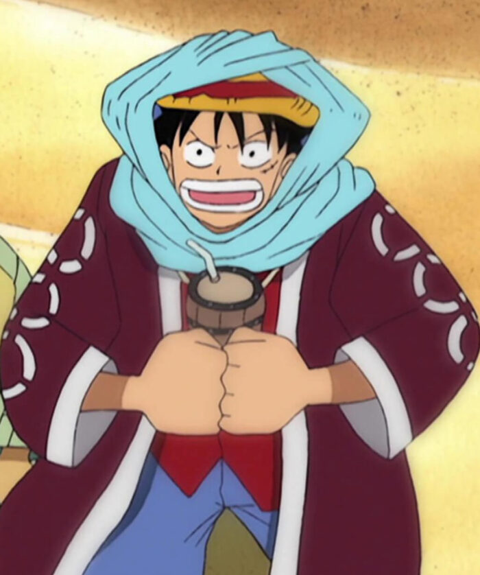 Monkey D. Luffy Purple Coat