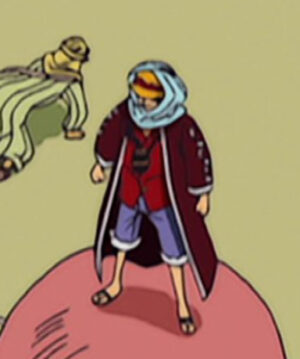 Monkey D. Luffy Purple Coat