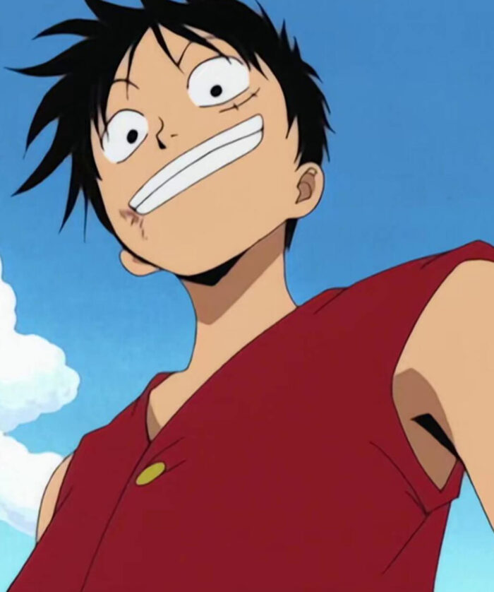 Monkey D. Luffy Red Vest