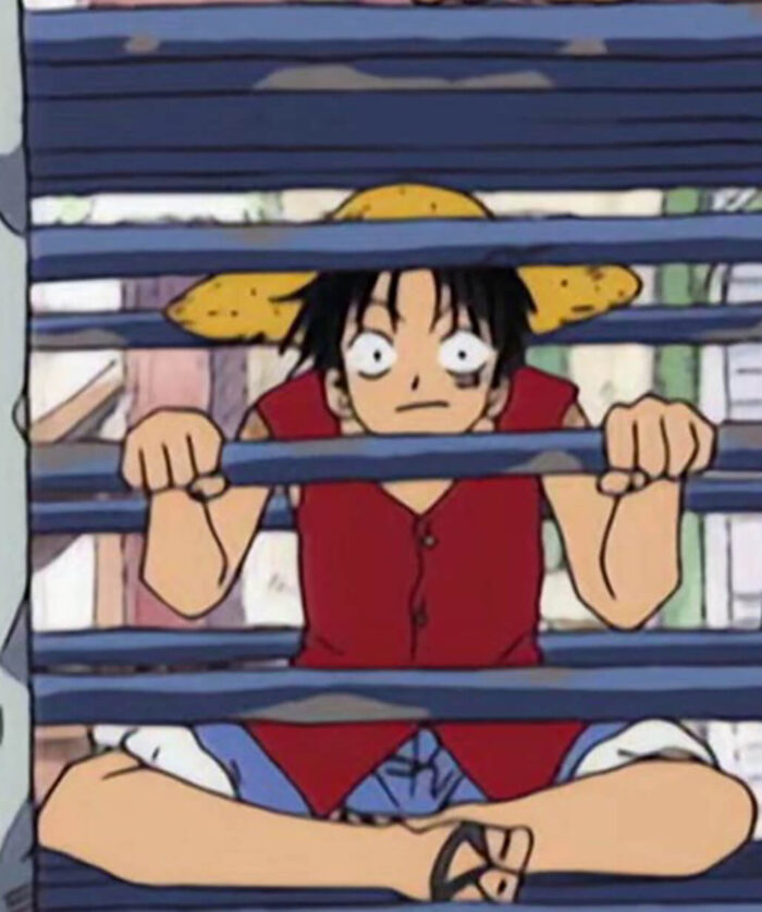 Monkey D. Luffy Red Vest