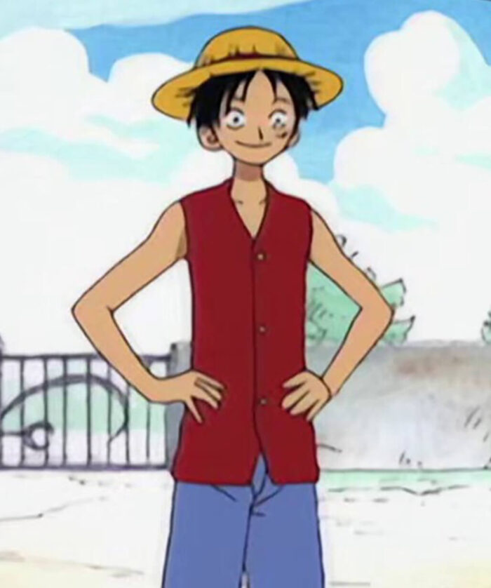 Monkey D. Luffy Red Vest