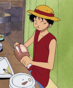 Monkey D. Luffy Red Vest