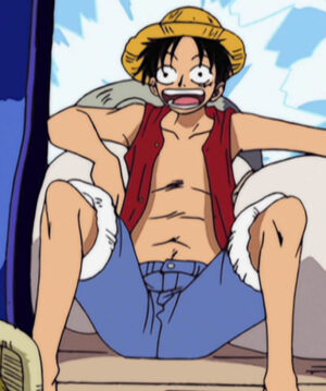 Monkey D. Luffy Red Vest