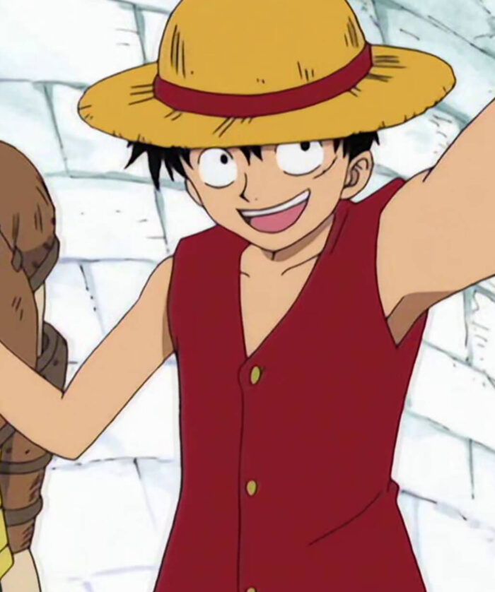 Monkey D. Luffy Red Vest